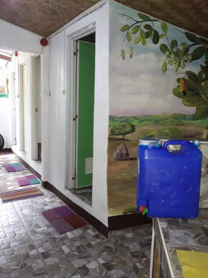 Purple Homestay Hillside Coron Exterior foto